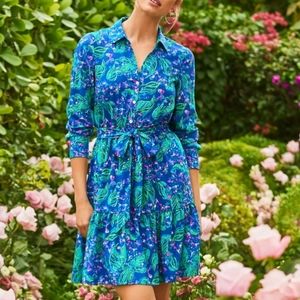 Lilly Pulitzer Eilenne Dress